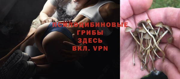 дживик Армянск