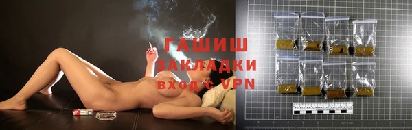 хмурый Алзамай
