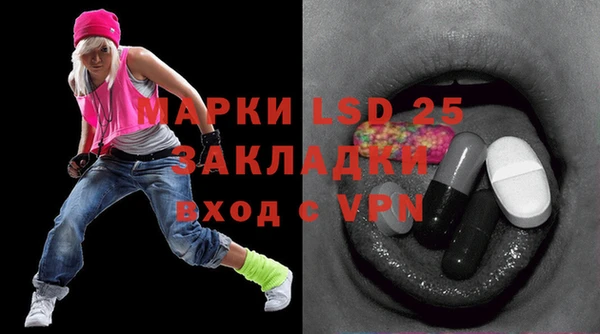 хмурый Алзамай