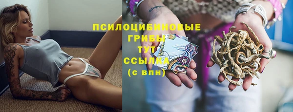 хмурый Алзамай