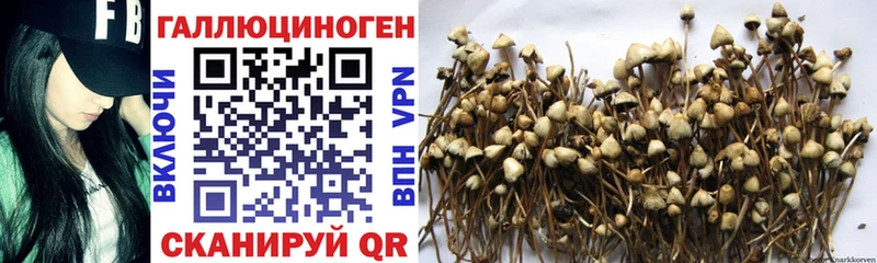 Псилоцибиновые грибы MAGIC MUSHROOMS  Ленинск 